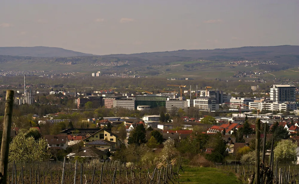 The office and production buildings of Boehringer Ingelheim rise behind houses and vineyards in Ingelheim, with hills beyond.